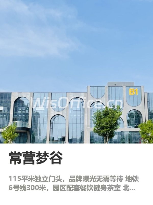 常营梦谷115㎡实景图