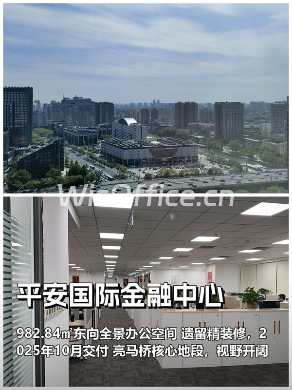 平安国际金融中心982.84㎡实景图