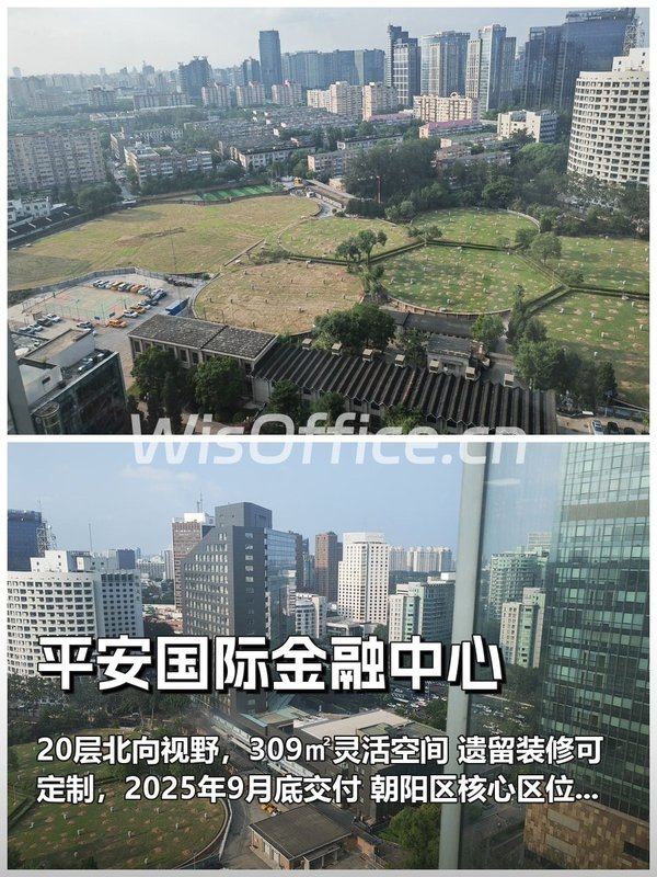 平安国际金融中心309.14㎡实景图