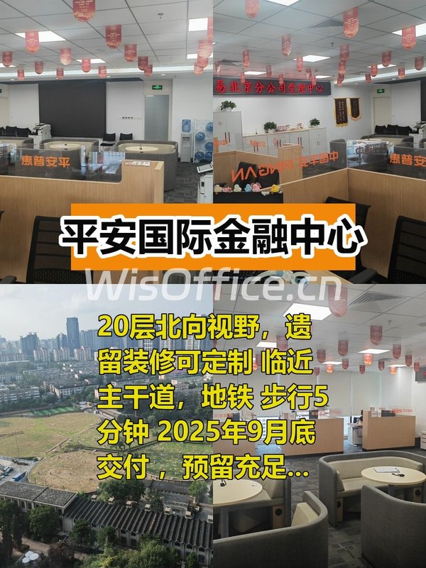 平安国际金融中心309.14㎡实景图