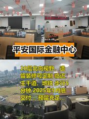 平安国际金融中心办公室实景图 1