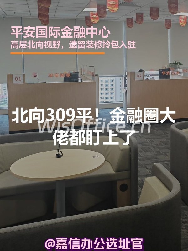 平安国际金融中心309.14㎡实景图