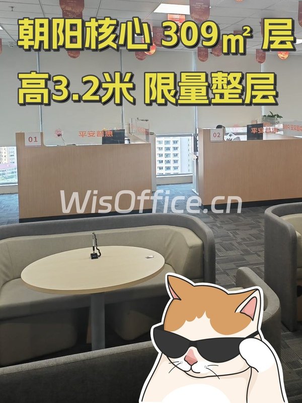 平安国际金融中心309.14㎡实景图