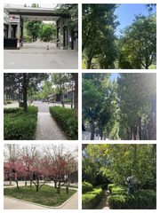 百子湾唯一独立院落 460㎡ 4.5米挑高 - 缩略图 1