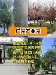 广园产业园办公室实景图 1
