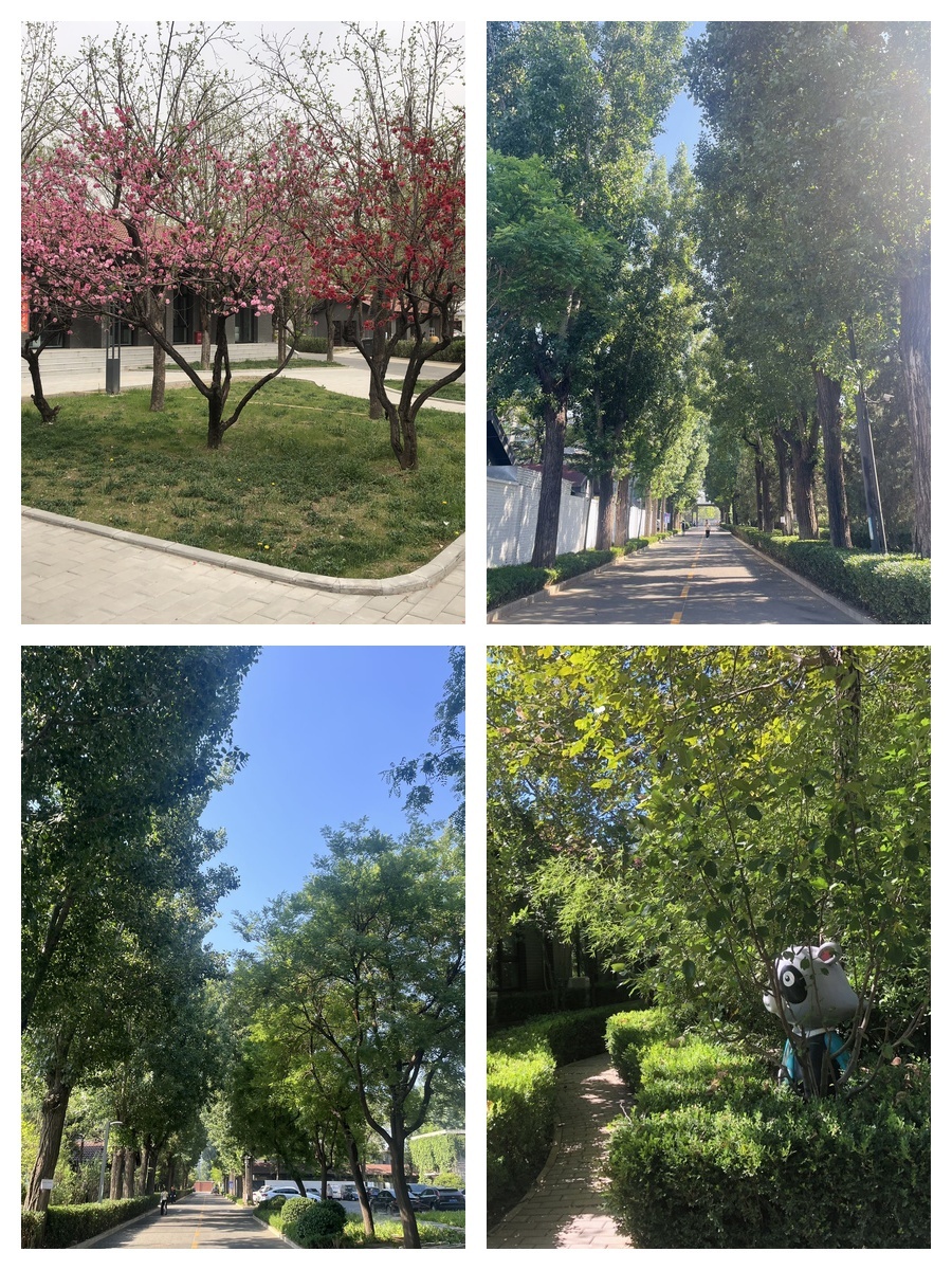 东四环大开间，125平精装办公