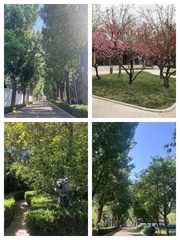 广园文化产业园办公室实景图 1