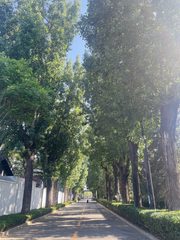 广园文化产业园办公室实景图 2