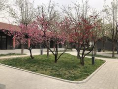 广园文化产业园办公室实景图 4