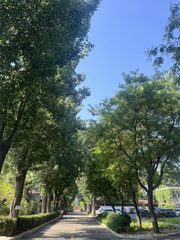 广园文化产业园 365平 独栋院落 高挑空 - 缩略图 3