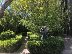 广园文化产业园 365平 独栋院落 高挑空 - 缩略图 4