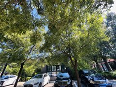 广园文化产业园 365平 独栋院落 高挑空 - 缩略图 18