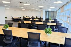 独角兽必争：花园中庭适合深谋远虑 - 缩略图 9