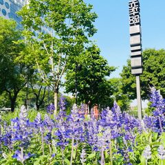 光华SOHO二期办公室实景图 4