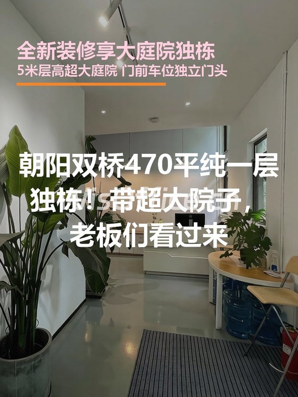 全新装修享大庭院独栋470㎡实景图