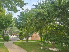 文创公司必抢：177㎡正南阳光办公室 - 缩略图 5