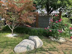 文创公司必抢：177㎡正南阳光办公室 - 缩略图 9