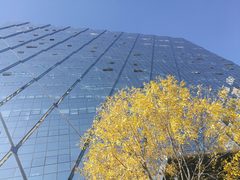 冠捷大厦办公室实景图 2