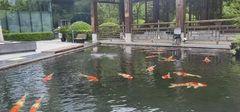 冠捷大厦办公室实景图 4