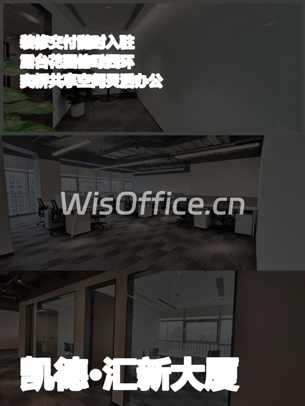 凯德·汇新大厦263.05㎡实景图