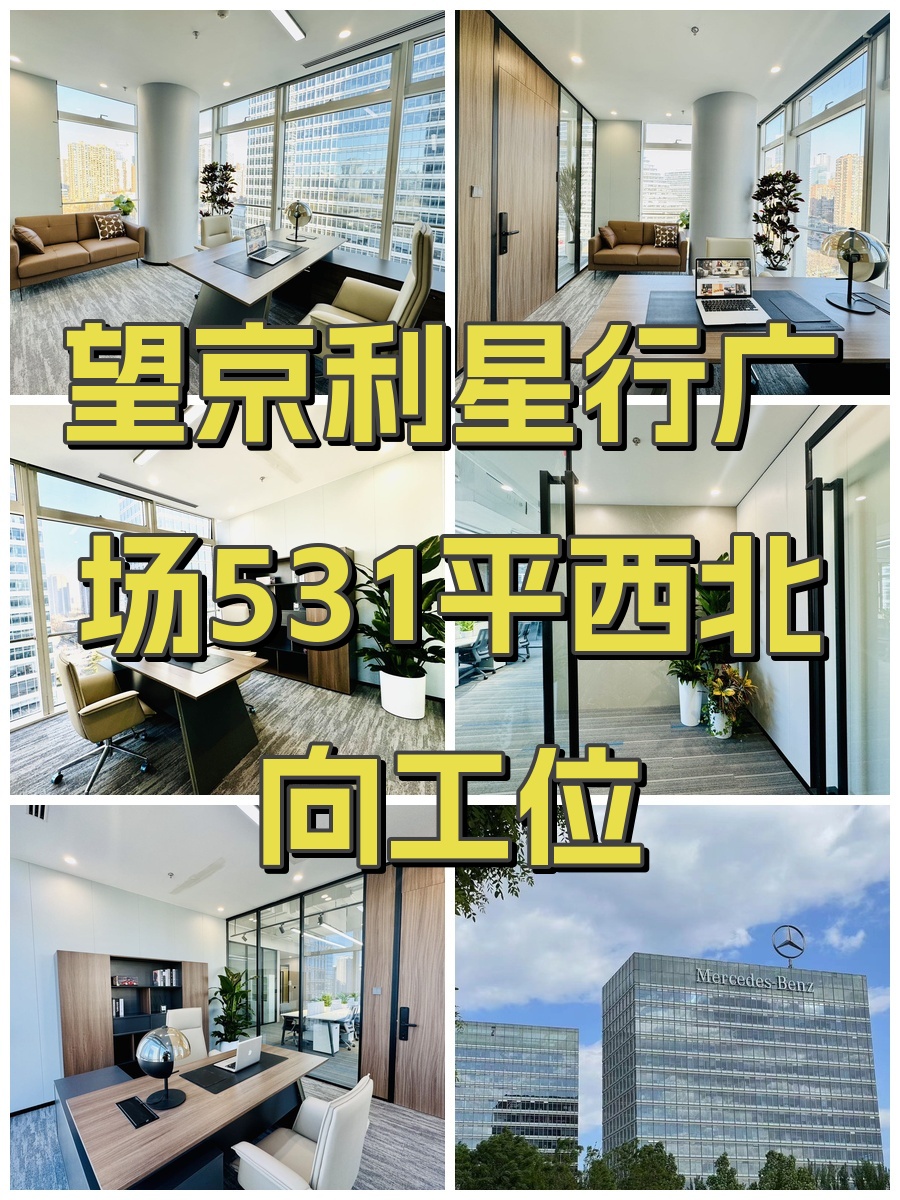望京利星行广场531平西北向工位