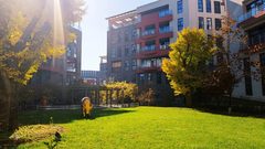 北京东亿国际传媒产业园办公室实景图 5