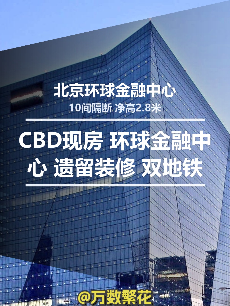 CBD现房 环球金融中心 遗留装修 双地铁