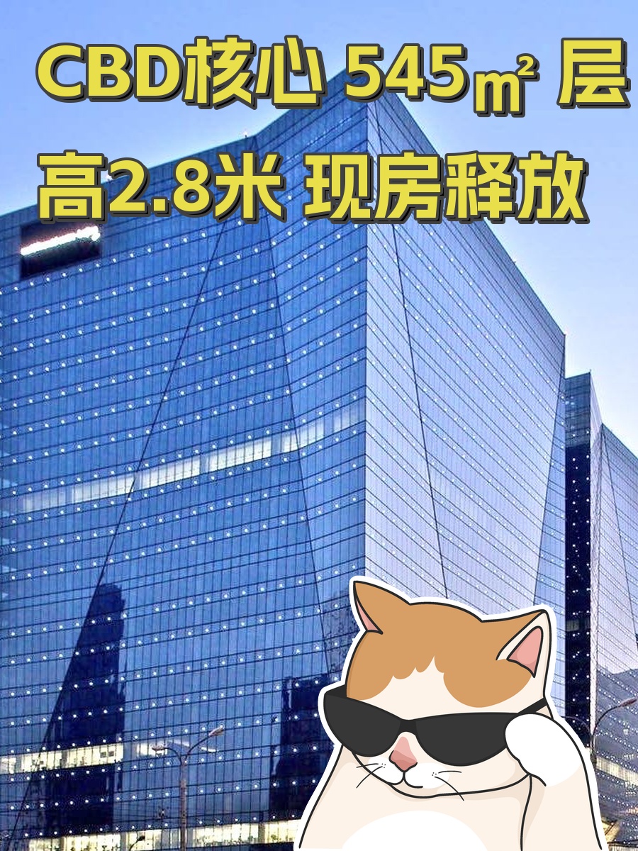 CBD核心 545㎡ 层高2.8米 现房释放
