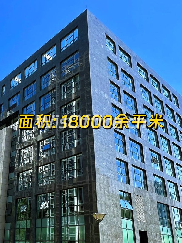金苑大厦18000㎡实景图