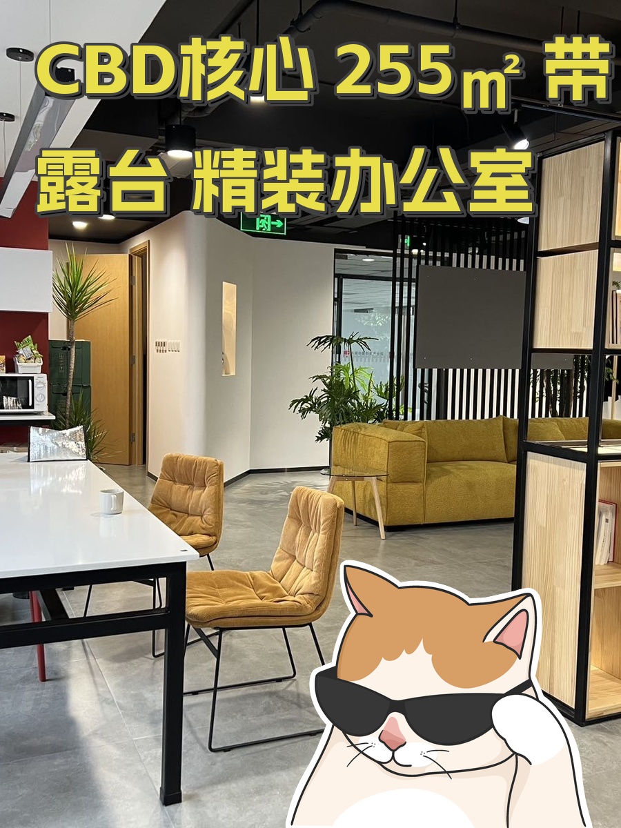 CBD核心 255㎡ 带露台 精装办公室