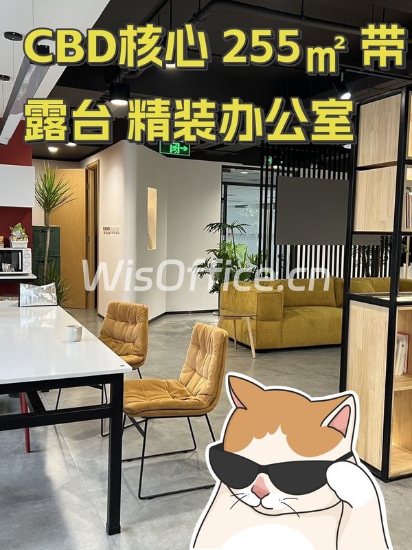 华贸热电厂·东郎255㎡实景图