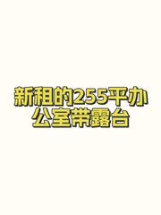 新租的255平办公室带露台 - 缩略图 1