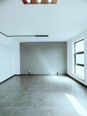 南洋文创园325平独栋复式，东西通透 - 缩略图 13