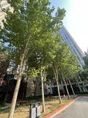 双清大厦办公室实景图 4