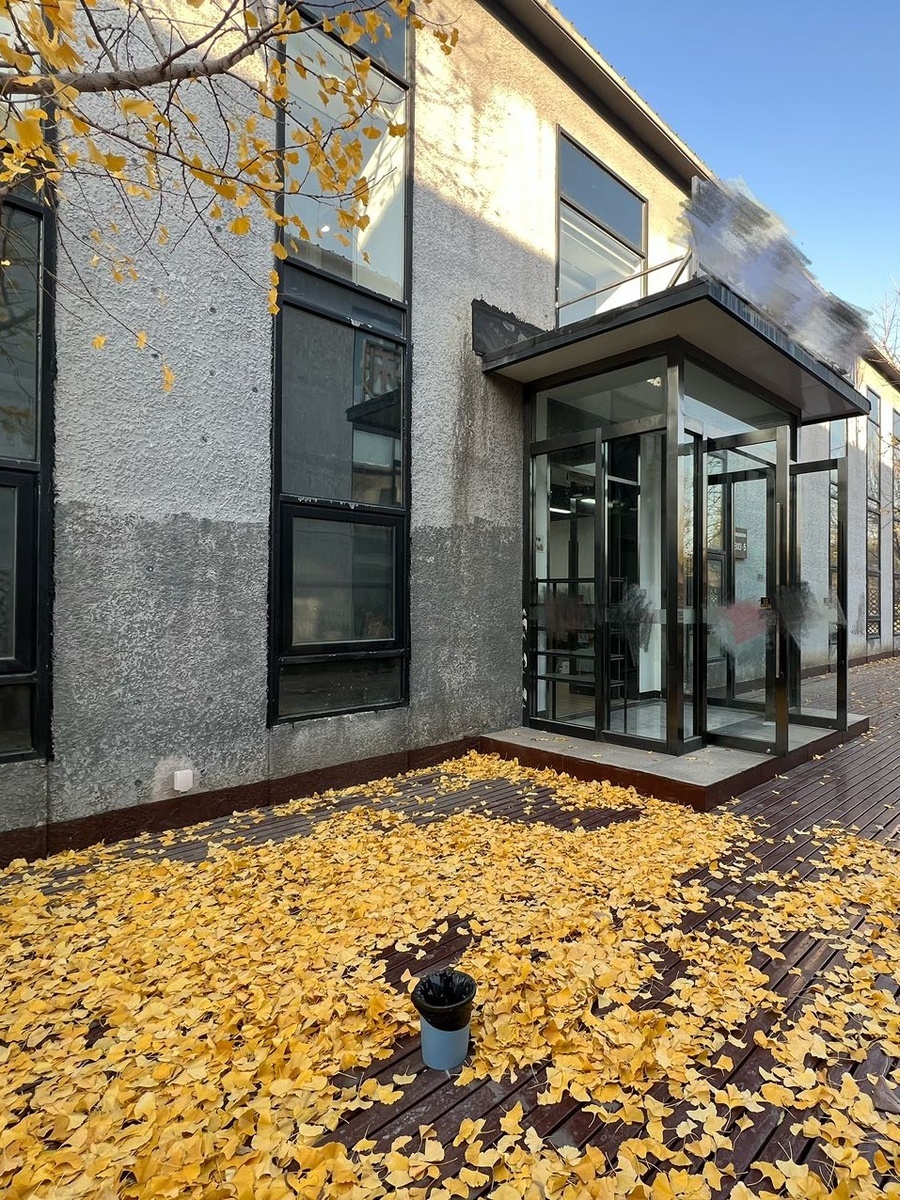 双桥DREAM 2049文创园618平带庭院