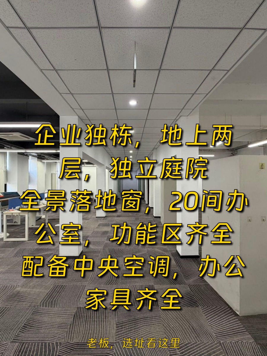 双桥DREAM 2049 1318平 独栋庭院 全景落地窗