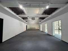 双桥DREAM 2049 480平独栋 南北通透 独立庭院 - 缩略图 6