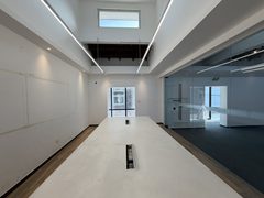 双桥DREAM 2049 480平独栋 南北通透 独立庭院 - 缩略图 8