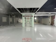双桥DREAM 2049 | 独栋现房 | 庭院露台？ - 缩略图 7