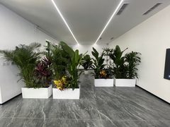 双桥DREAM 2049文创园 93平 精装修 双地铁 - 缩略图 5