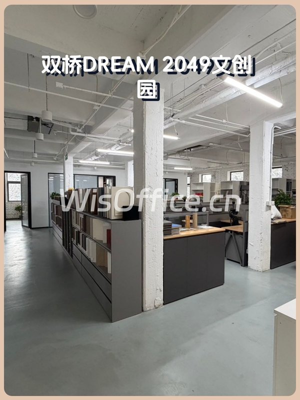 双桥DREAM 2049文创园418㎡实景图
