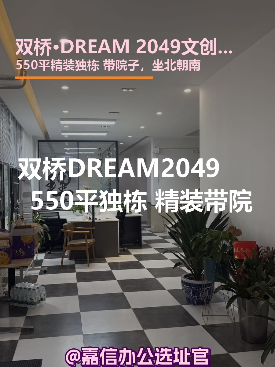 双桥DREAM2049 550平独栋 精装带院