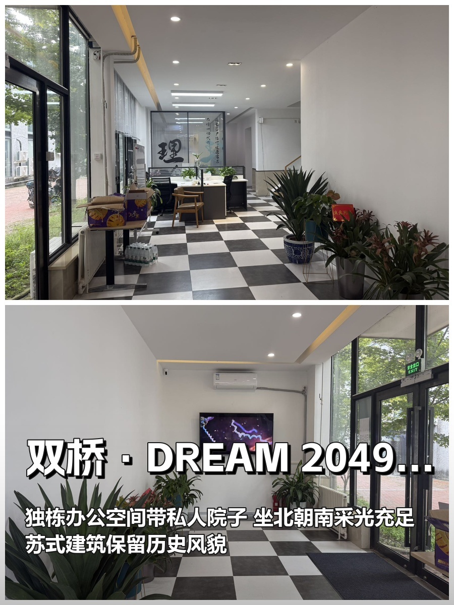 双桥DREAM 2049 550平独栋带院子