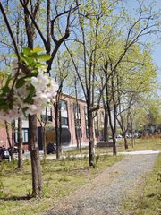 双桥创新产业园区办公室实景图 4