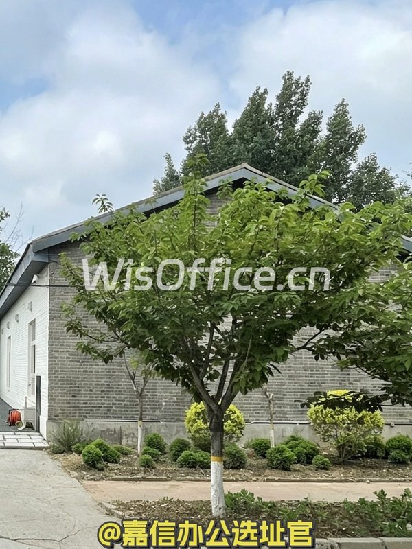 双桥新出独栋带院666㎡实景图