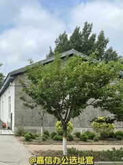 双桥新出独栋带院办公室实景图 1