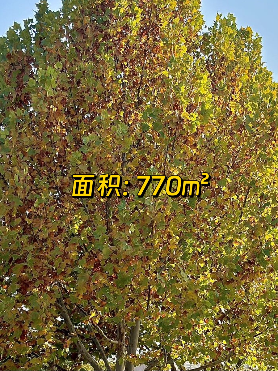 艺术园区770㎡创意空间