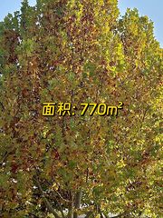 艺术园区770㎡创意空间 - 缩略图 1