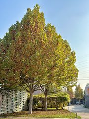 艺术园区770㎡创意空间 - 缩略图 16