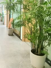 和院文创园办公室实景图 1